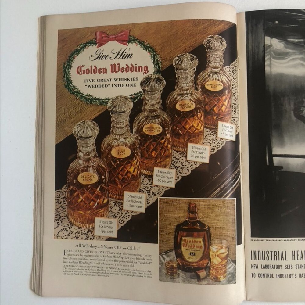 Life Magazine - Picture 11 of 11